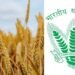 केंद्र ने एफसीआई को वित्त वर्ष 2025 का 80% बकाया जारी किया