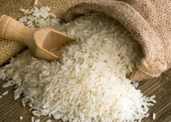 चावल की इस किस्म  सरकार ने हटाया बैन, किसानों को होगा मुनाफा