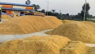 टारगेट से पीछे धान की खरीद, फरवरी तक बेच सकेंगे किसान!