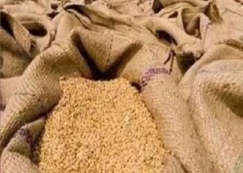 बाजार हस्तक्षेप के लिए गेहूं का पर्याप्त भंडार उपलब्ध: केंद्र सरकार