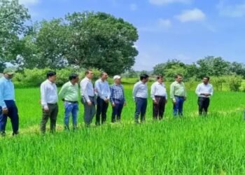 IARI की वो तकनीक, जिससे छोटे- मछोले किसानों की आमदनी में होगा दोगुना इजाफा