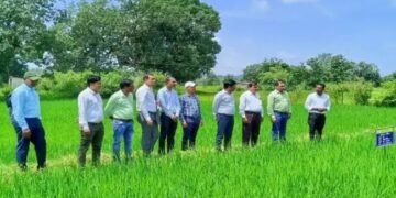 IARI की वो तकनीक, जिससे छोटे- मछोले किसानों की आमदनी में होगा दोगुना इजाफा