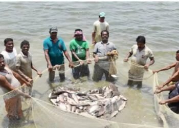 मत्स्य पालन विभाग और ओएनडीसी के बीच में समझौता ज्ञापन पर हस्ताक्षर