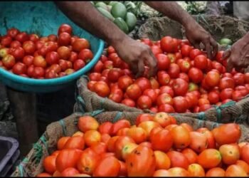 मंहगाई ने आम आदमी को किया क्लीन बोल्ड, टमाटर ने मारी सेंचुरी तो धनिया ने लगाया दोहरा