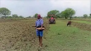 भारत में खरीफ की अच्छी प्रगति, 597 लाख हेक्टेयर से अधिक क्षेत्र में बुवाई