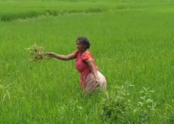 कृषि कार्यों के लिए राज्य सरकार देगी 23 हजार करोड़, जानें किन किसानों को मिलेगा लाभ?