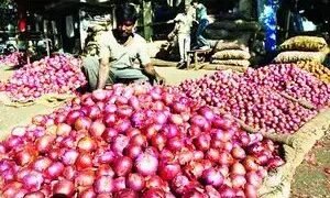 नई खरीफ फसल आने से प्याज की कीमतों में और गिरावट आने की संभावना: सरकारी अधिकारी