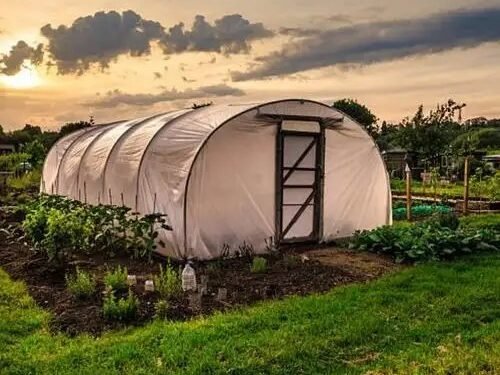 पॉलीहाउस बनाने पर सरकार दे रही किसानों को बड़ा तोहफा, 50% मिल रही सब्सिडी