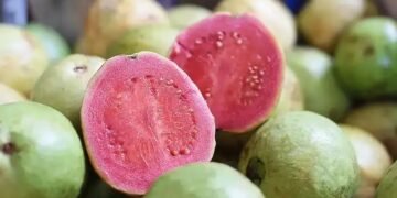 अमरूद के बागों में आई बड़ी आफत! योगी सरकार ने तुरंत लिया संज्ञान