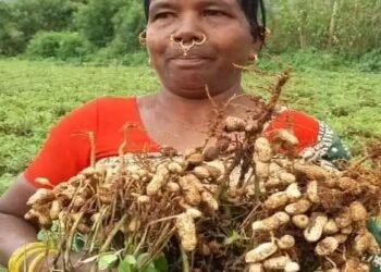 आन्ध्र प्रदेश की महिला किसान प्राकृतिक खेती से ले रही है अच्छी आय