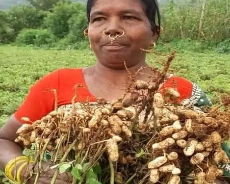 आन्ध्र प्रदेश की महिला किसान प्राकृतिक खेती से ले रही है अच्छी आय