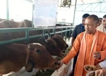 यूपी में गाय के गोबर से बनेगा कपड़ा और बायोप्लास्टिक: किसानों की आय बढ़ाने और पर्यावरण बचाने की अनोखी पहल