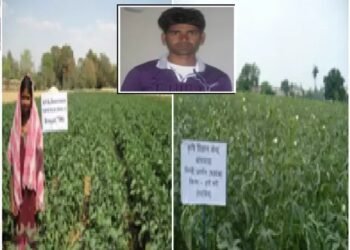 भिण्डी की खेती ने किसान को बनाया लखपति