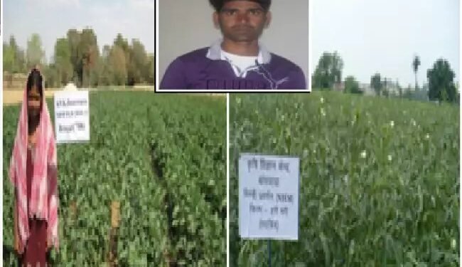 भिण्डी की खेती ने किसान को बनाया लखपति