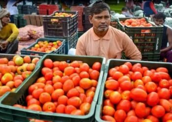 इन राज्यों में 100 के पार पहुंचा टमाटर का भाव, जानें क्यों बढ़ी कीमतें