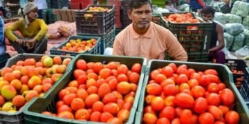 इन राज्यों में 100 के पार पहुंचा टमाटर का भाव, जानें क्यों बढ़ी कीमतें
