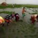 हरियाणा, पंजाब में आढ़तियों की हड़ताल से धान की खरीद प्रभावित