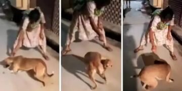 बदायूं में फिर हुआ चूहा कांड, महिला के खिलाफ केस दर्ज
