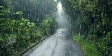 IMD ने इन राज्यों में जारी किया बारिश का ऑरेंज अलर्ट, असम में होगी बारिश