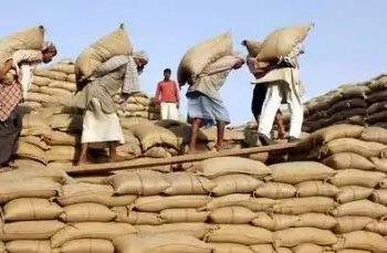 अनाज मंडियों में बढ़ी मजदूरी, जानें कितनी हुई दिहाड़ी?