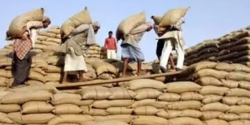 अनाज मंडियों में बढ़ी मजदूरी, जानें कितनी हुई दिहाड़ी?