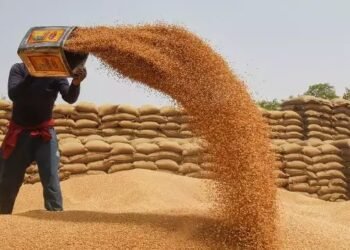 इन राज्यों में गेहूं की सरकारी खरीद ने पकड़ी रफ्तार, जानें क्या हैं कीमतें?