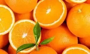 संतरे का निर्यात घटने से नागपुर क्षेत्र के किसानों की उम्मीदों पर फिर रहा पानी