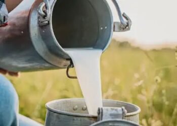 मिल्क प्रोडक्ट अब A1 और A2 लेबल के साथ होंगे उपलब्ध, FSSAI ने जारी की एडवाइजरी