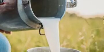 मिल्क प्रोडक्ट अब A1 और A2 लेबल के साथ होंगे उपलब्ध, FSSAI ने जारी की एडवाइजरी