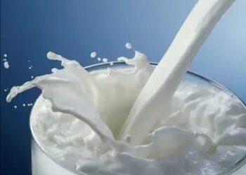 जानें क्यों मनाया जाता है राष्ट्रीय दुग्ध दिवस, क्या है इतिहास?