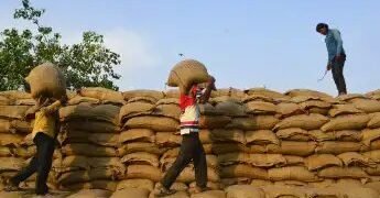 गेहूं के दामों में आएगी गिरावट, FCI के खाद्यान्न बाजार में उतारने की घोषणा !