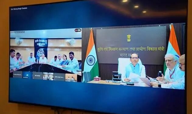 सरकार का बड़ा फैसला, मध्यप्रदेश में मूंग और उड़द की खरीद को मिली मंजूरी