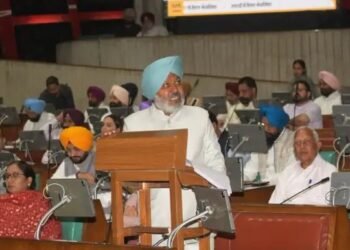 पंजाब के कृषि बजट में 5% इजाफा, जानें क्या है खास?