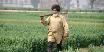 पंजाब:  800 कृषि अधिकारियों को कारण बताओ नोटिस, 140 करोड़ के घोटाले से जुड़ा मामला