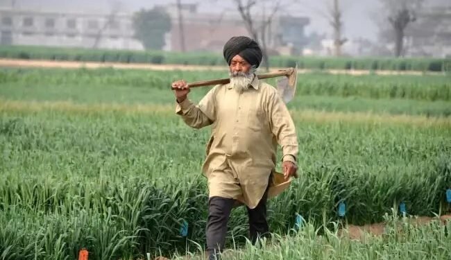 पंजाब:  800 कृषि अधिकारियों को कारण बताओ नोटिस, 140 करोड़ के घोटाले से जुड़ा मामला