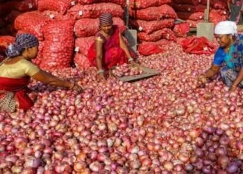 प्याज के मंडी भाव में कब आएगी तेजी, जानें क्या हैं दाम?
