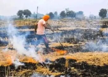 पंजाब-हरियाणा में पराली की समस्या, सीएम ने दी जानकारी!