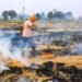 पंजाब-हरियाणा में पराली की समस्या, सीएम ने दी जानकारी!