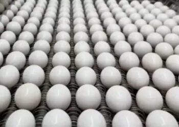 मिड-डे-मील की थाली में अब एक नहीं तीन होंगे अंडे, सरकार ने लिया फैसला!