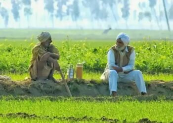 अब नहीं होगी पंजाब में DAP की किल्लत, पंजाब सरकार लेकर आई बेहतरीन प्लान