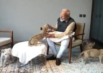 वनतारा पहुंचे PM Modi , शेर के शावकों को पिलाया दूध