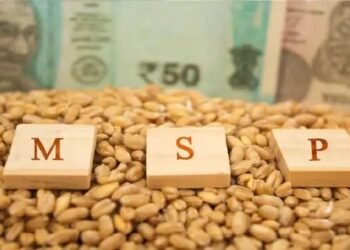 केंद्रीय मंत्रिमंडल ने सत्र 2024-25 के लिए खरीफ फसलों के लिए एमएसपी को मंजूरी दी