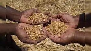 FY24 में FCI गेहूं की बिक्री रिकॉर्ड 10 मीट्रिक टन को पार कर जाएगी