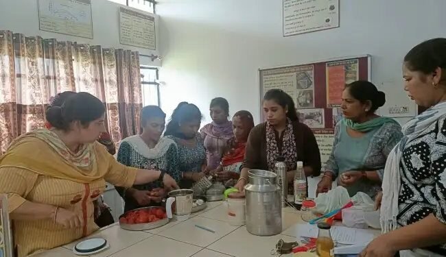 शिक्षकों के लिए TURNITIN सॉफ्टवेयर पर प्रशिक्षण कार्यक्रम आयोजित, शैक्षणिक ईमानदारी को मिलेगा बढ़ावा