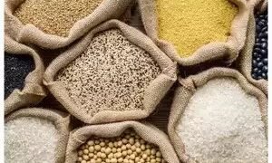 एसएलसीएम ने दिल्ली और एमपी में खाद्यान्न गुणवत्ता नियंत्रण केंद्र लॉन्च किए