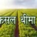 16 से 30 अगस्त तक चलाया जाएगा फसल बीमा जागरूकता अभियान, बैंकों को दूरदराज क्षेत्रों में लोन कवरेज बढ़ाने के निर्देश