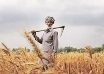 इस स्कीम से किसानों को मिला 12 लाख का लोन, जानें कैसे कर सकते हैं अपलाई?