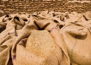 सरकार ने गेहूं की स्टॉक स्थिति की अनिर्वाय घोषणा करने का आदेश दिया