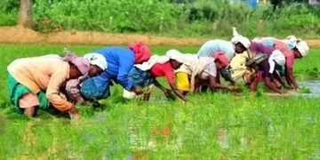 किसानों को इस योजना पर मिल रहे 15 लाख, जल्द करें आवेदन