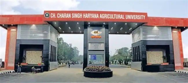 कृषि स्टार्टअप को बढ़ावा: CCS HAU से मिलेंगे 25 लाख तक की सब्सिडी, 10 सितंबर तक करें आवेदन